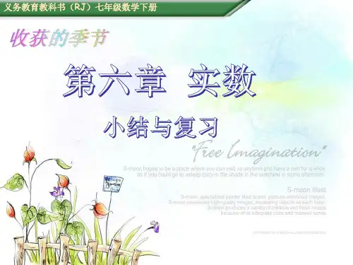 人教版七年级下册数学：第六章 实数小结与复习 (共45张PPT)