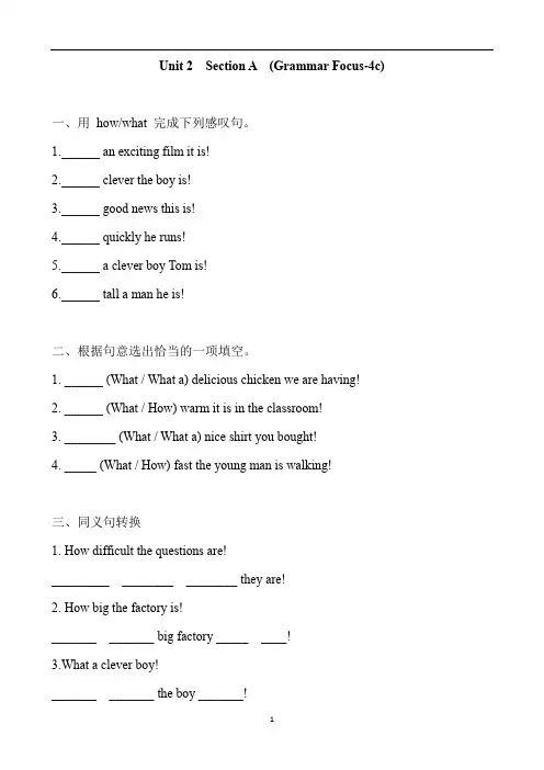 人教新目标英语九年级全册 Unit 2  Section A  (Grammar Focus-4c) 同步练习题 含答案
