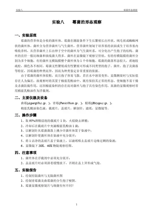 实验7-霉菌的形态观察_图文