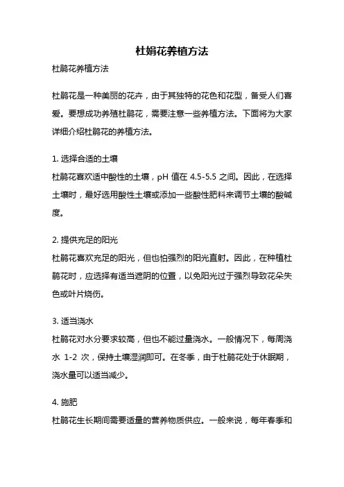 杜娟花养植方法