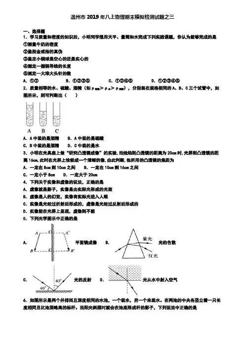 温州市2019年八上物理期末模拟检测试题之三
