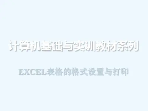 EXCEL2010表格的格式设置与打印
