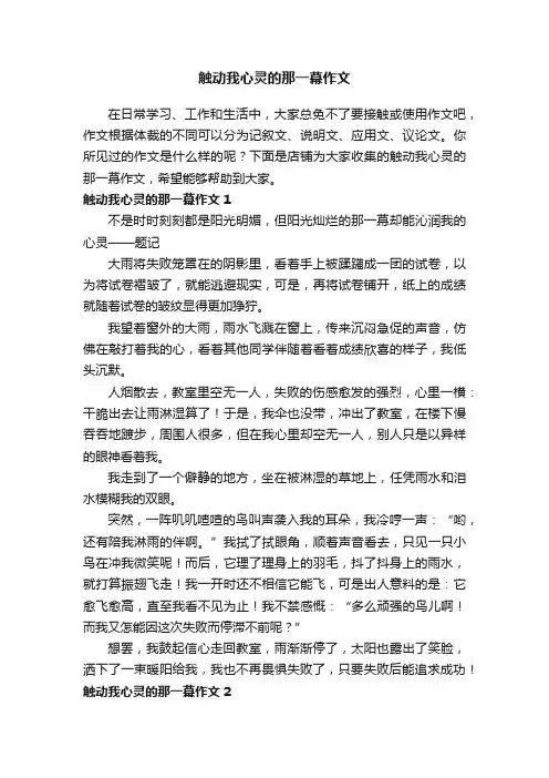 触动我心灵的那一幕作文