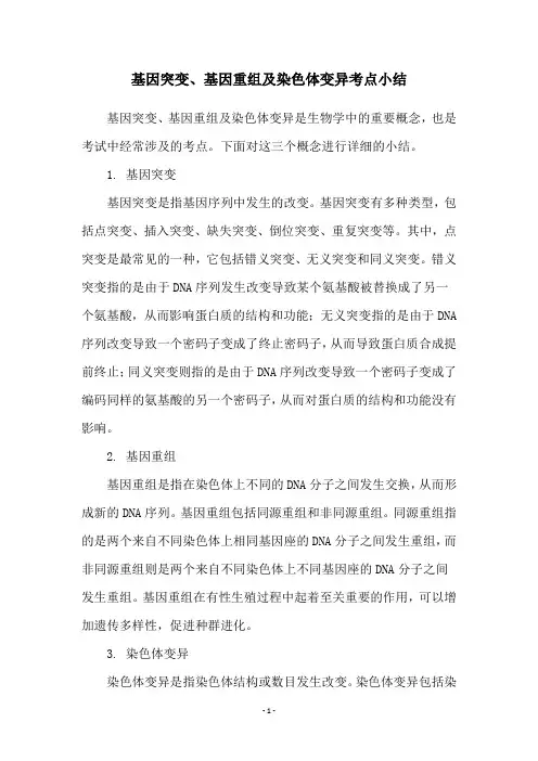 基因突变、基因重组及染色体变异考点小结