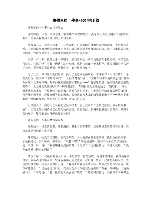 寒假里的一件事(400字)5篇
