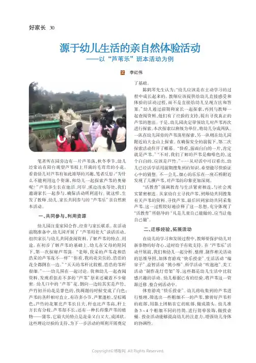 源于幼儿生活的亲自然体验活动——以“芦苇乐”班本活动为例