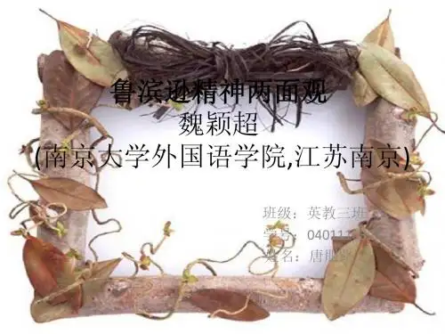 鲁滨逊精神两面观