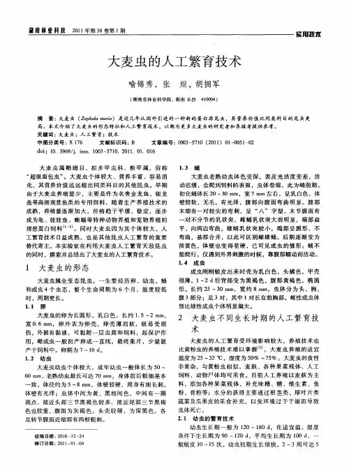 大麦虫的人工繁育技术