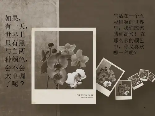 有关于英语里“颜色”的ppt课件