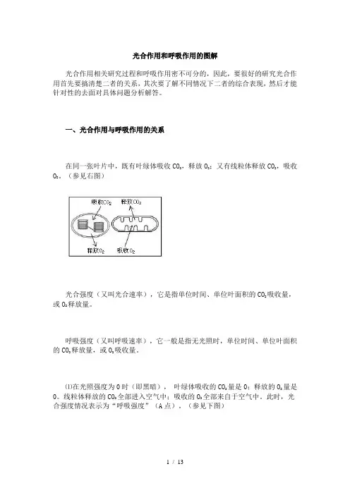 光合作用和呼吸作用图解