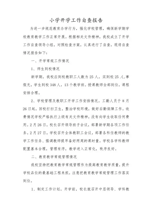 小学开学工作自查报告