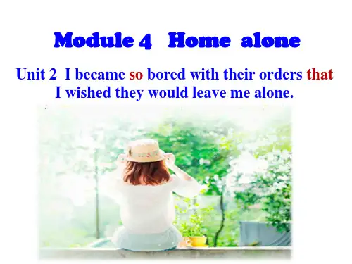 外研新版九年级上M4HomeAlone知识点+语法