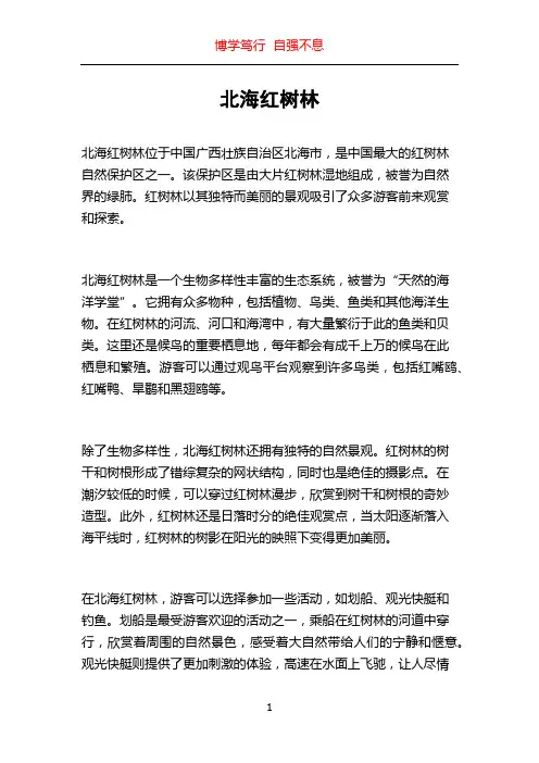 北海红树林