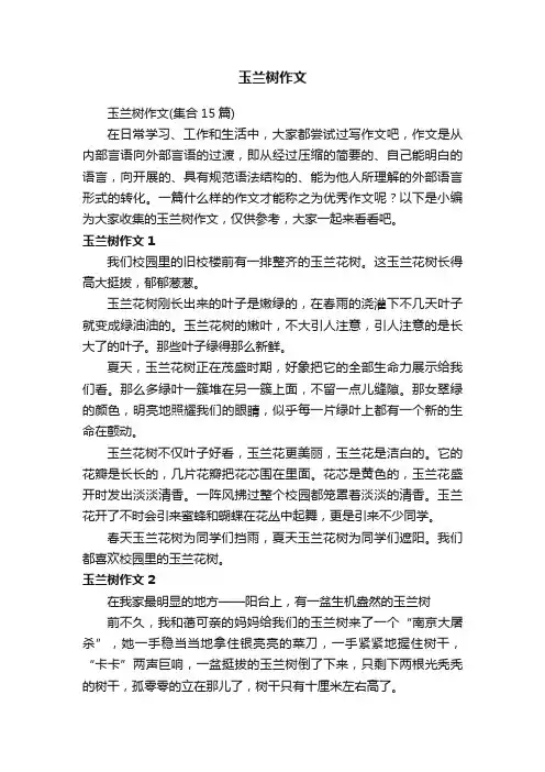 玉兰树作文（集合15篇）