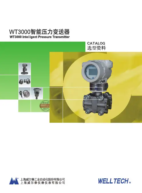 WT3000智能压力变送器