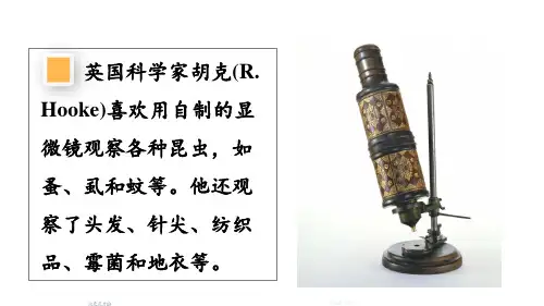 第二章 认识细胞第一节 学习使用显微镜(课件)人教版生物(2024)七年级上册