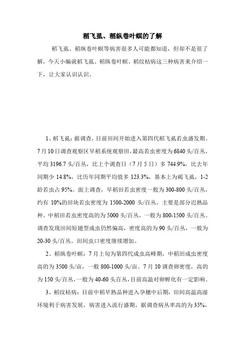 稻飞虱、稻纵卷叶螟的了解