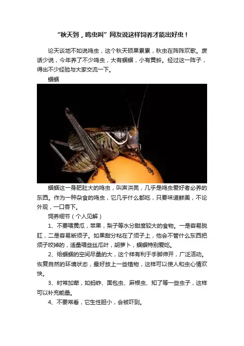 “秋天到，鸣虫叫”网友说这样饲养才能出好虫！