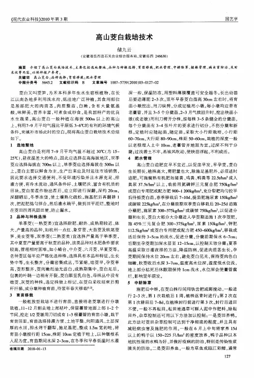 高山茭白栽培技术