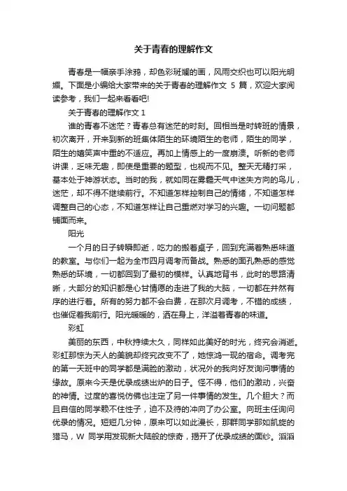 关于青春的理解作文