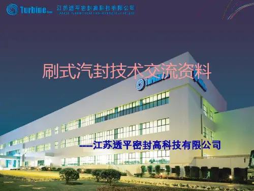 刷式汽封(技术介绍)