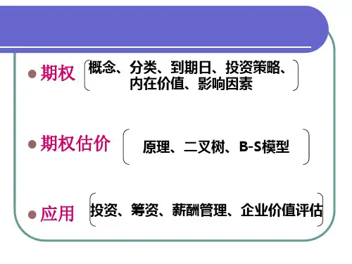期权理论