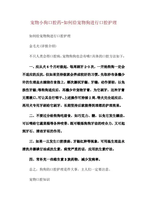 宠物小狗口腔药-如何给宠物狗进行口腔护理