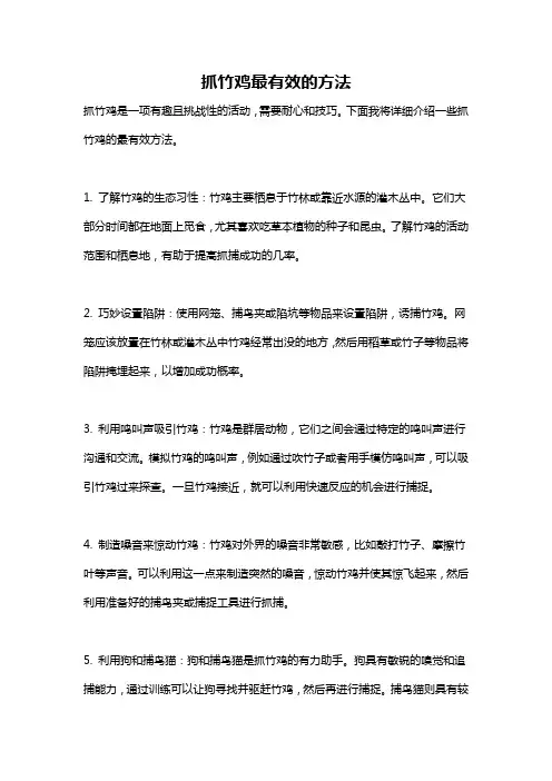 抓竹鸡最有效的方法