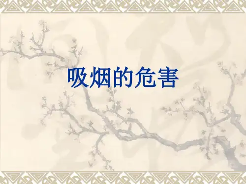 《吸烟的危害》PPT课件