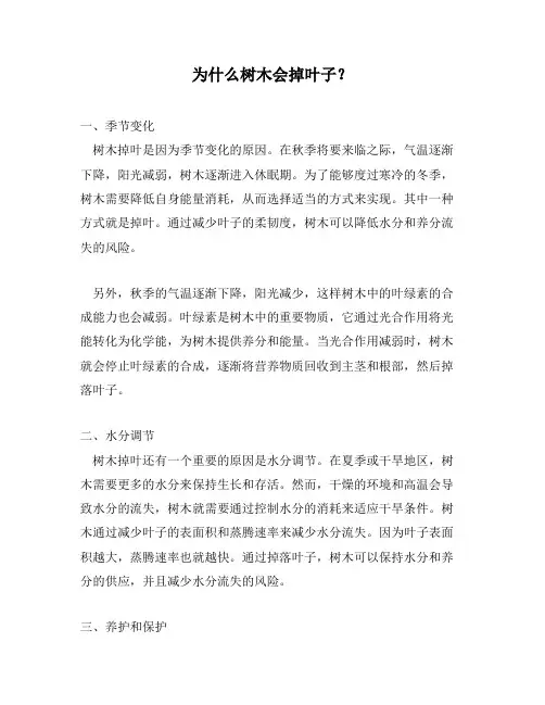 为什么树木会掉叶子？