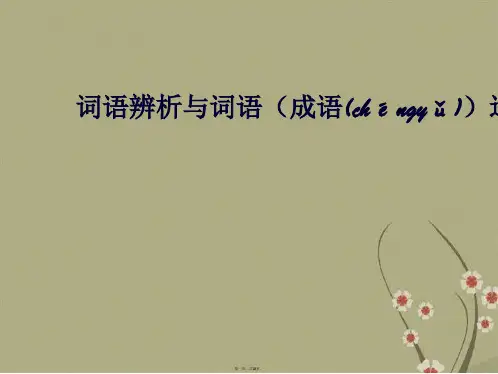 中考语文专题复习 词语辨析与词语成语运用课件