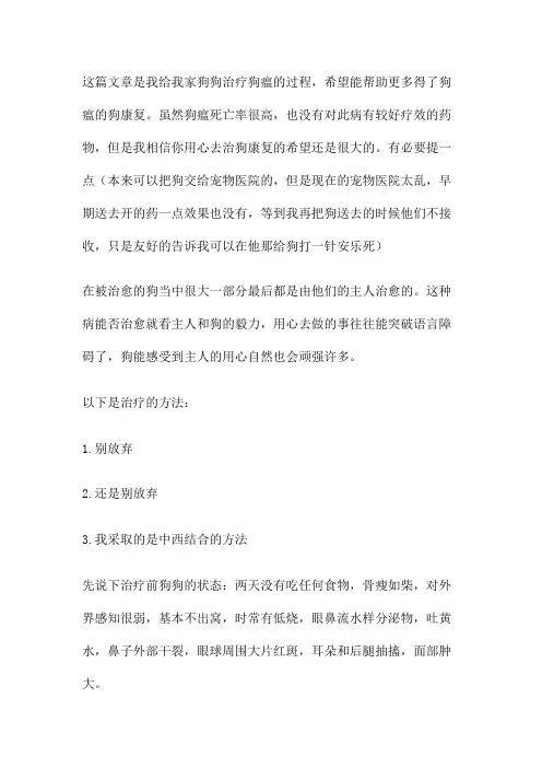 治疗狗瘟 (成功治愈)