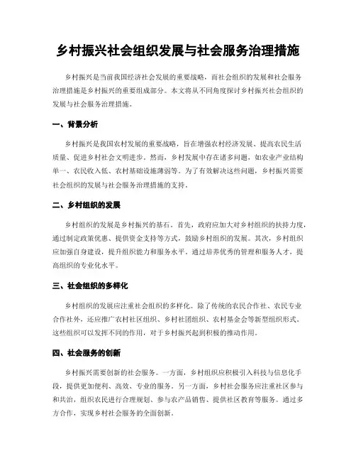 乡村振兴社会组织发展与社会服务治理措施