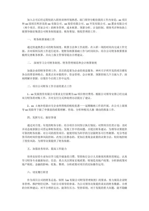 2020财务总监试用期工作总结【精品】