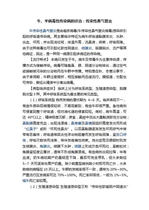牛、羊病毒性传染病的诊治：传染性鼻气管炎