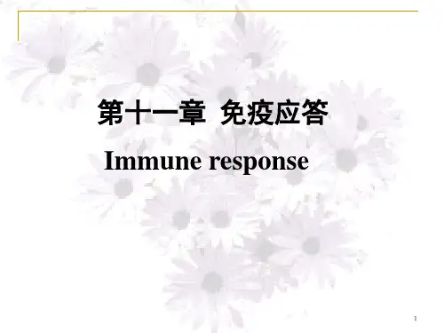 第11章 免疫应答