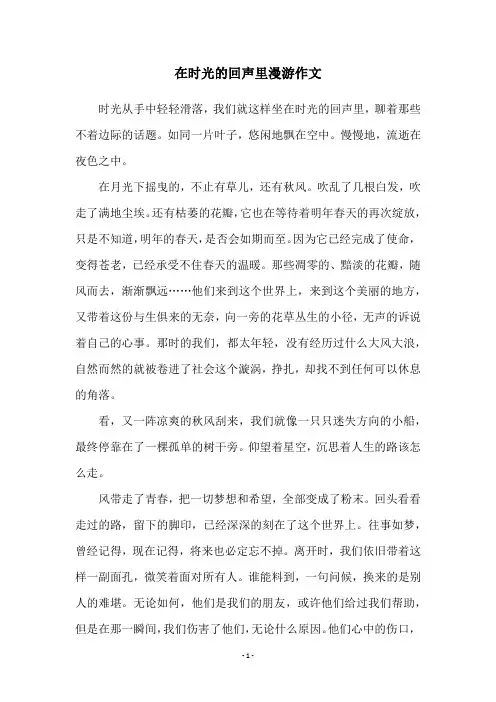 在时光的回声里漫游作文