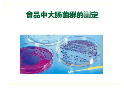 2.大肠菌群.ppt
