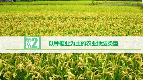 人教版高一地理必修二以种植业为主的农业地域类型课件