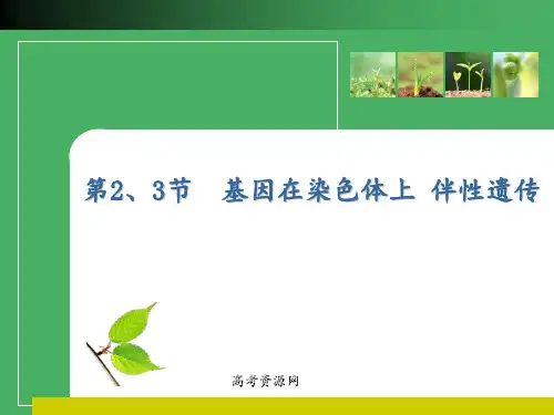 2012高考生物一轮复习优化方案必修2二章23节 ppt课件
