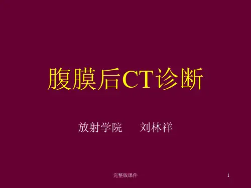 腹膜后CTppt课件