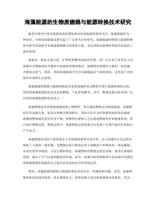 海藻能源的生物质燃烧与能源转换技术研究