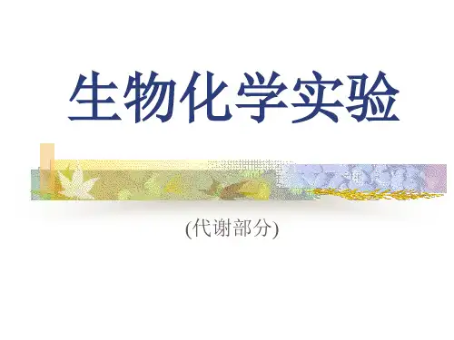 生物化学实验_代谢部分_PPT课件