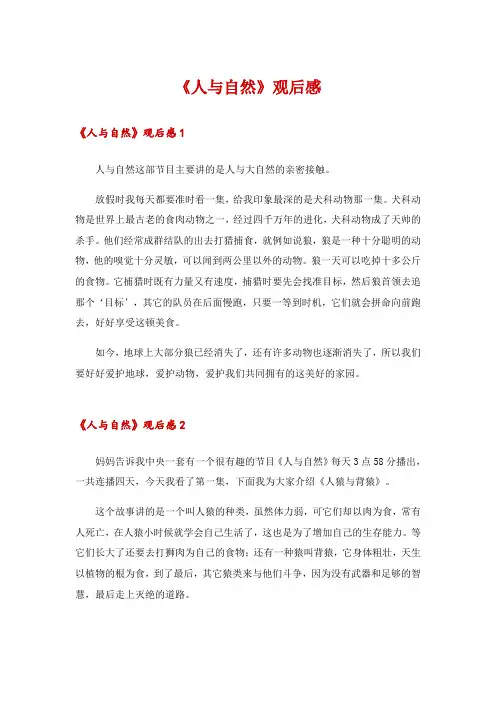 2024年《人与自然》观后感_2