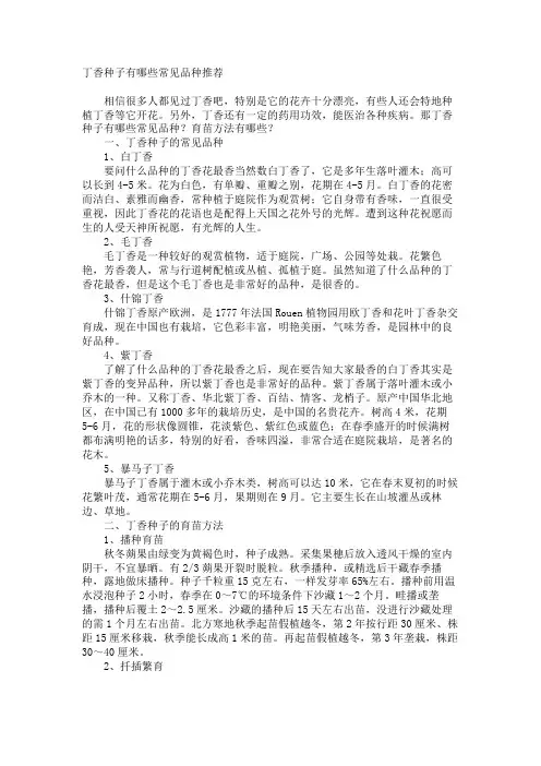 丁香种子有哪些常见品种推荐