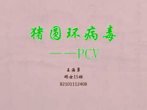 分子病毒学-PCV