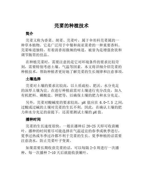 芫荽的种植技术