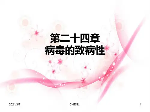 病毒的致病机制PPT课件