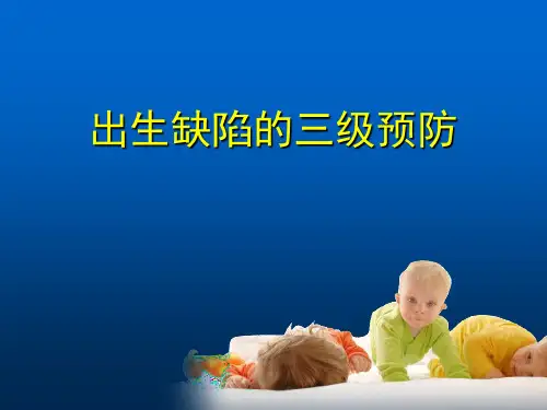 出生缺陷的三级预防PPT医学课件