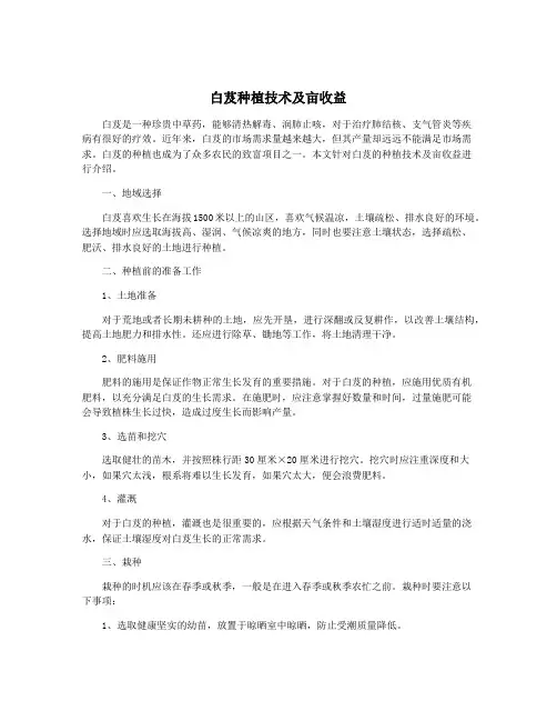 白芨种植技术及亩收益